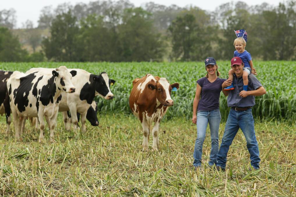 DAIRY FARMERS: Emily and Matthew Neilson and their son Joseph with some of the herd in front of one of their crops. Picture: Jonathan Carroll.