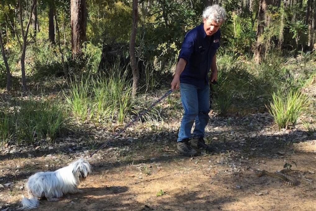 Watching out: Snake avoidance training courses are coming to Bunbury, Nannup and Margaret River in September and October. Visit snakeavoidance.com.au for more information. Photo: Supplied. 
