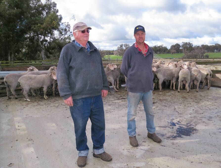 Farm life: Boyup Brook father-and-son farmers David and Paul Goerling will hold a ram sale at Lukin Springs farm on October 17 at 1pm, where about 100 Poll Merinos and 120 White Suffolk will be on offer to buy. Photo: Matthew Lau