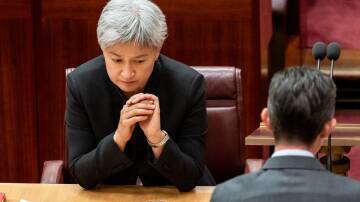 Foreign Minister Penny Wong. Picture by Elesa Kurtz