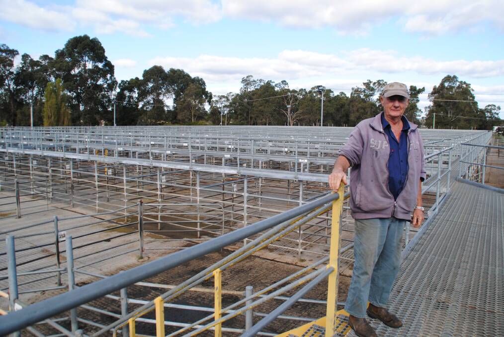 Key link under threat: Capel Shire president Murray Scott at the Boyanup Saleyards, which he says are a vital link in the chain for farmers.