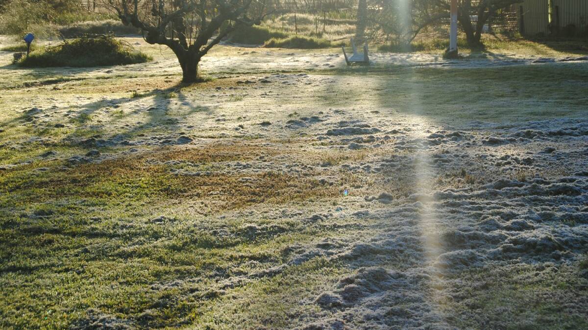 A coating of early morning frost on the outskirts of Kirup.