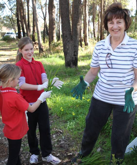 Greenbushes Tidy Towns Committee member Judy Perks assists Hayley Goodwin and Gypsy Barton to select tree seedlings for planting at the school bush block for Planet Ark School’s National Tree Day.