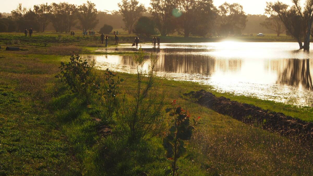 Qualeup Lake bathes in sunshine as students from Manea Senior College, Child Side School and Bunbury Catholic College plant their own grown seedlings to enhance the environment.