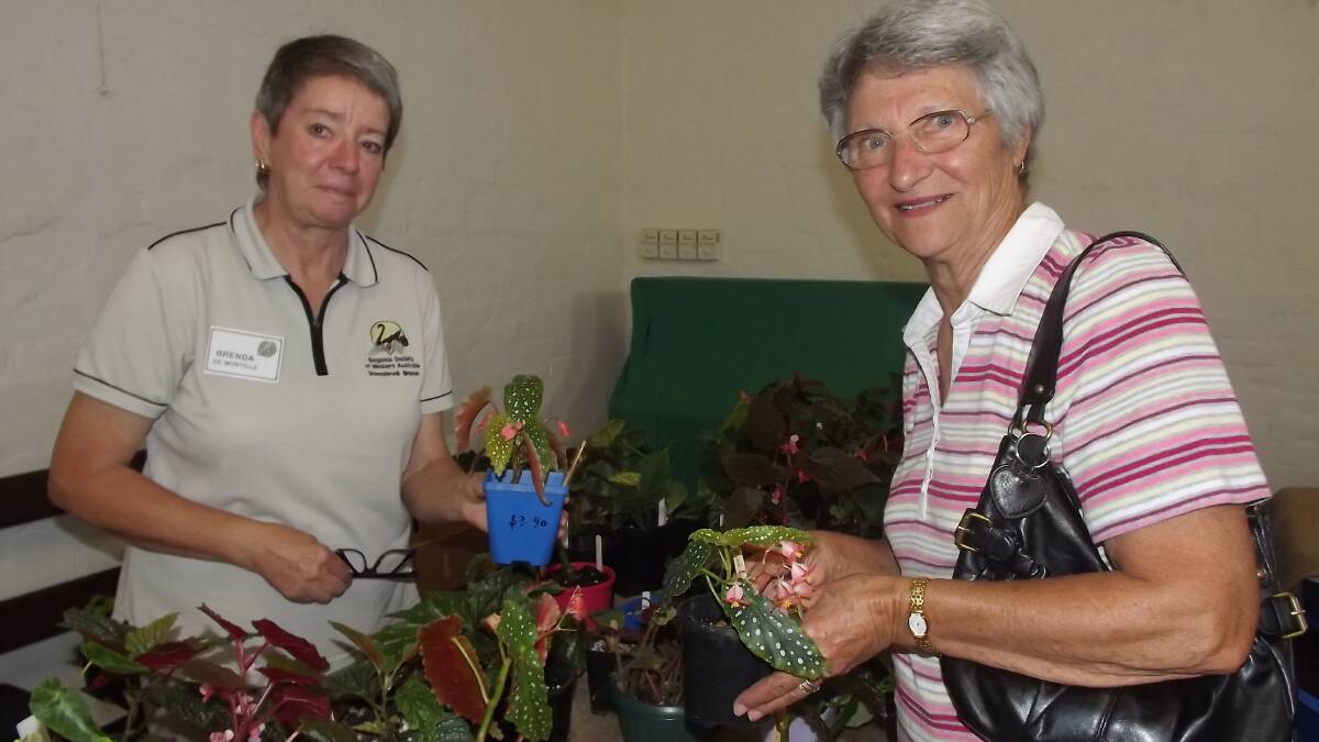 Brenda De Montille of Balingup and Ruth Johnson of Donnybrook buying plants.