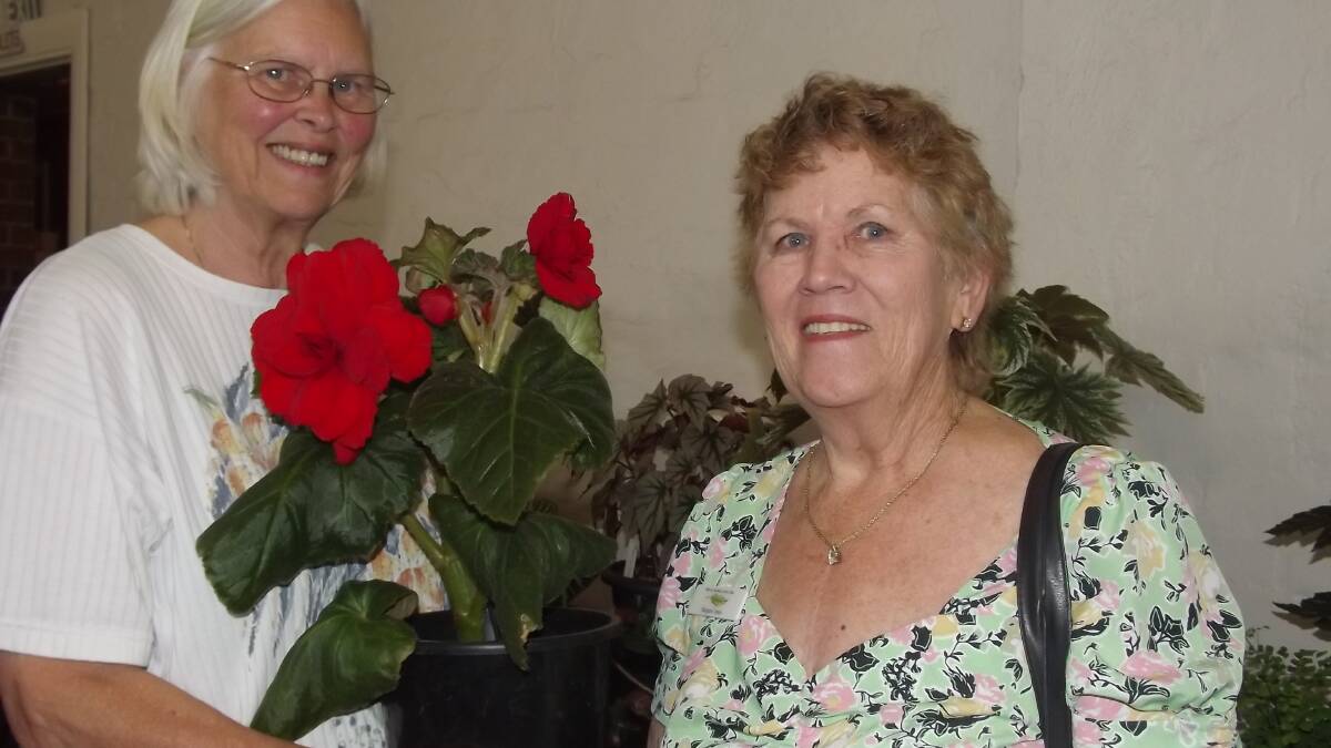 Ciska Weertman and Margaret Jones of the Harvey Garden Lover's Club.