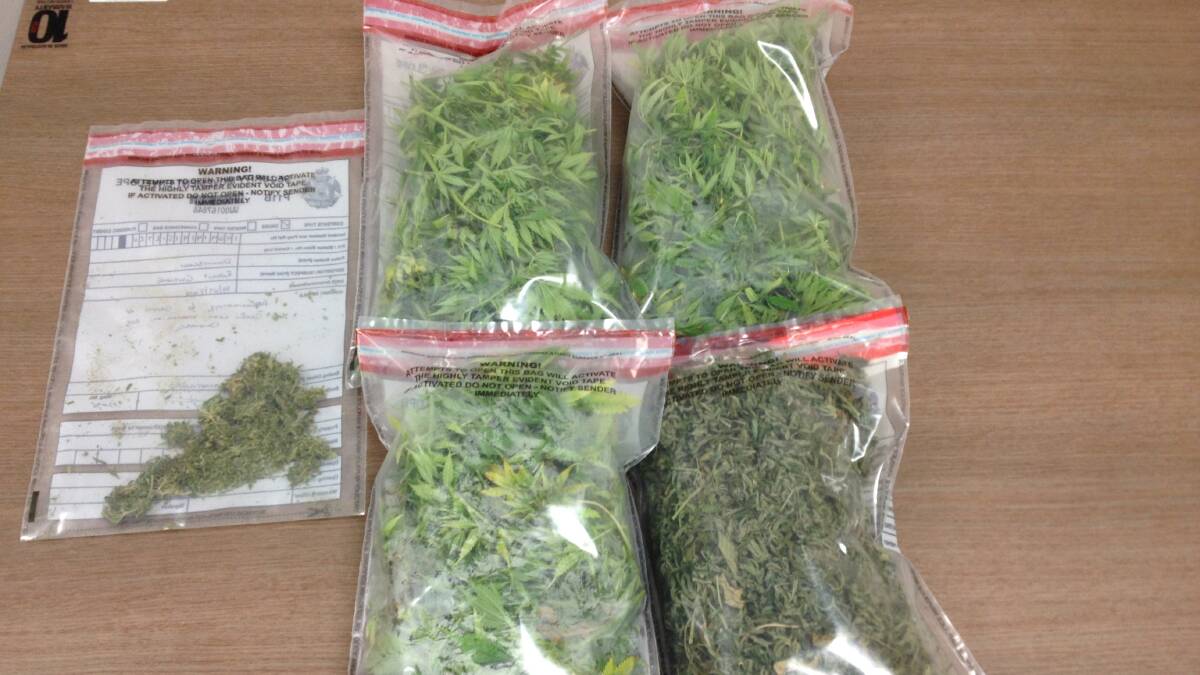 The cannabis seized by Donnybrook police at the weekend. Photo: supplied.