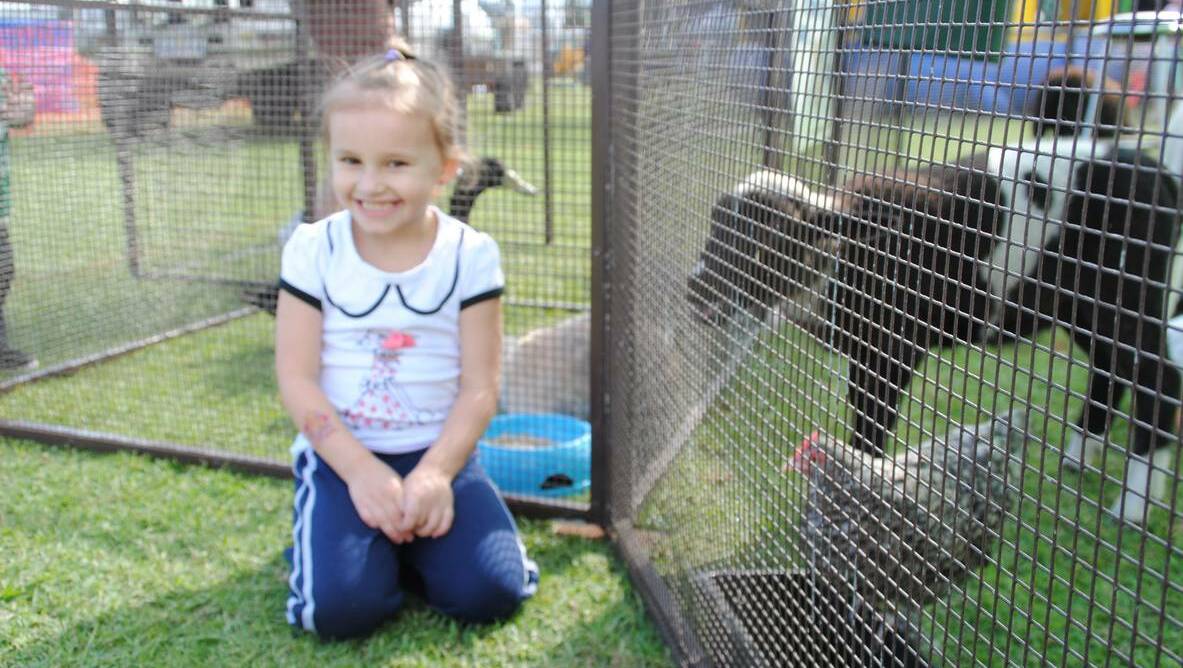 Sienna Bombardieri, 3, checks out the animal nursery at the 2013 Donnybrook Apple Festival.