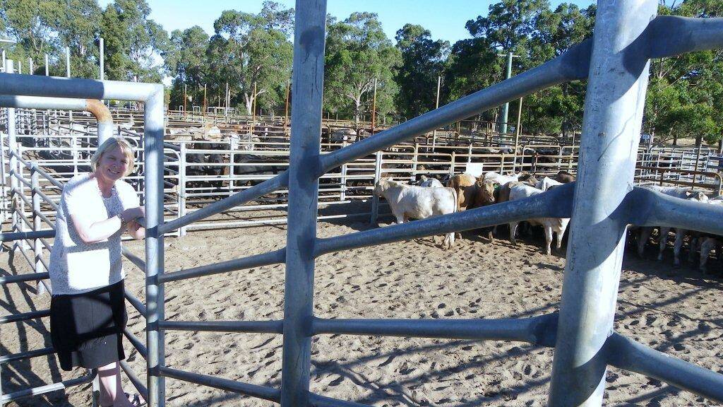 Robyn McSweeney at the Boyanup Sale yards. 