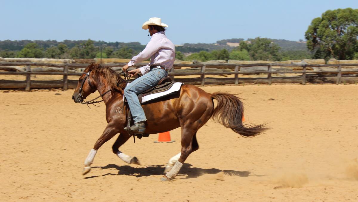 Clinician Irwin Van Vliet riding Quarter Horse Stallion 'Readies Lil Whizzel'.   