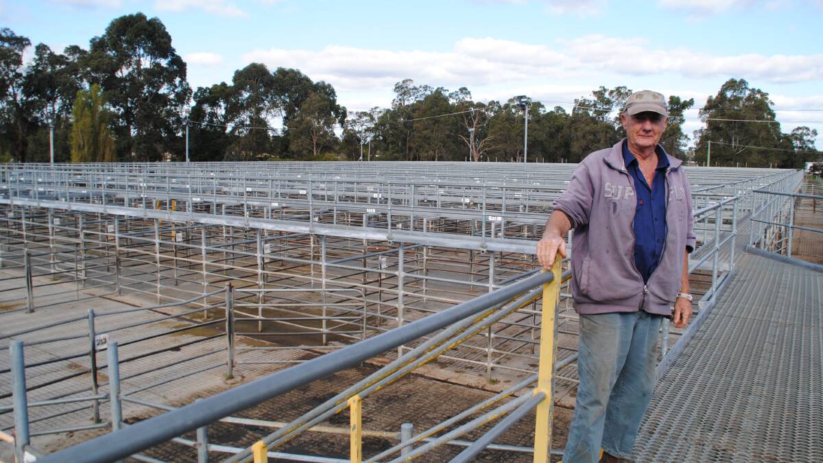 Capel Shire President Murray Scott at the Boyanup Saleyards in July. He said at the time the saleyards were a vital link in the chain for farmers. 