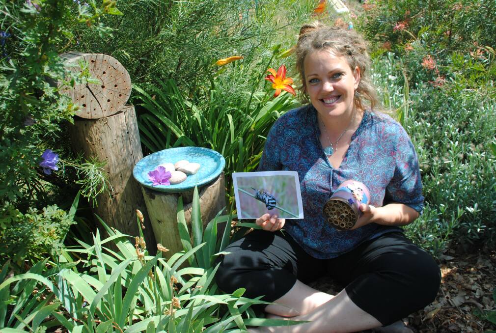 Tracy Lansdell in her bee-friendly garden, showing a native bee hotel, a photo of a natice bee found in her garden and a bee bath, where rocks are provided to allow bees to safely access fresh water. 