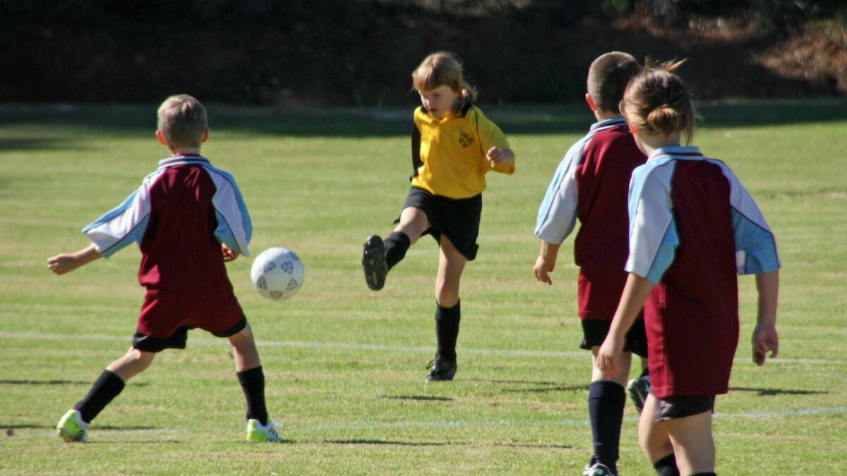 Kidsport funding gives more children access to join local sporting clubs. 