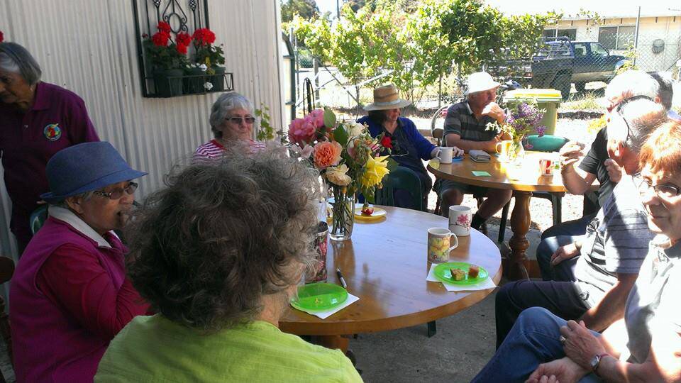 Seniors enjoy a cuppa under the new pergola at the Greenbushes Community Garden. 