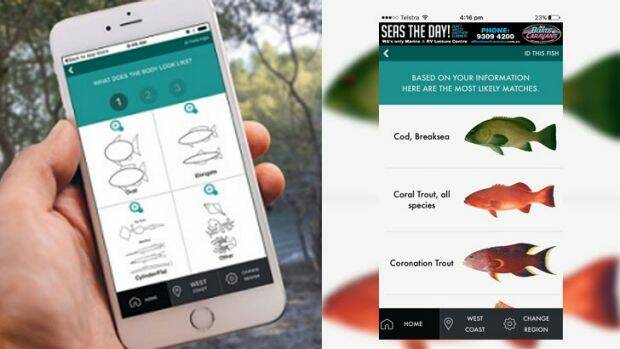 The app can be used offline and out of mobile range. Photo: Recfishwest