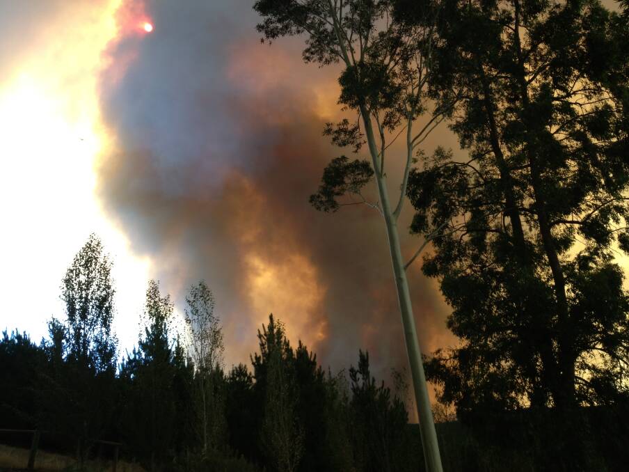 Threat: The bushfire towers over forest and farmland. Picture: Tony Grey