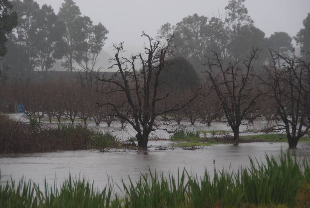 Widespread flooding had been reported throughout Donnybrook, Balingup, Argyle and Brookhampton.