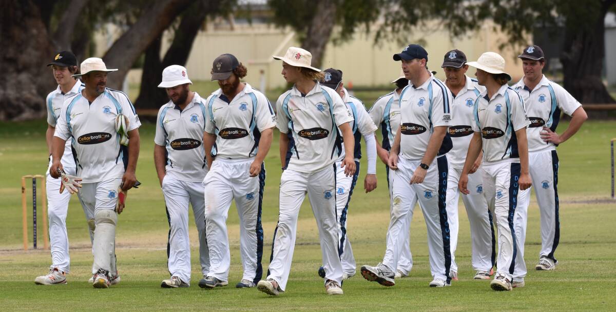 Squad in action: The Donnybrook Cricket Club's second grade side. The team took on Capel and Leschenault in January 2018. Photo: Thomas Munday. 
