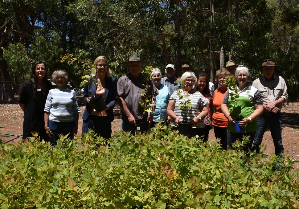 Liberals commit $1 million to Tuart Forest and historic settlement restoration