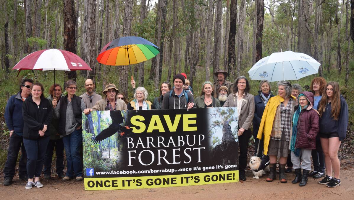 The Barrabup Conservation Group will head to the WA Parliament on Wednesday, September 13 to hand over a petition calling on the Environment Minister Stephen Dawson to declare the forest a formal conservation area.