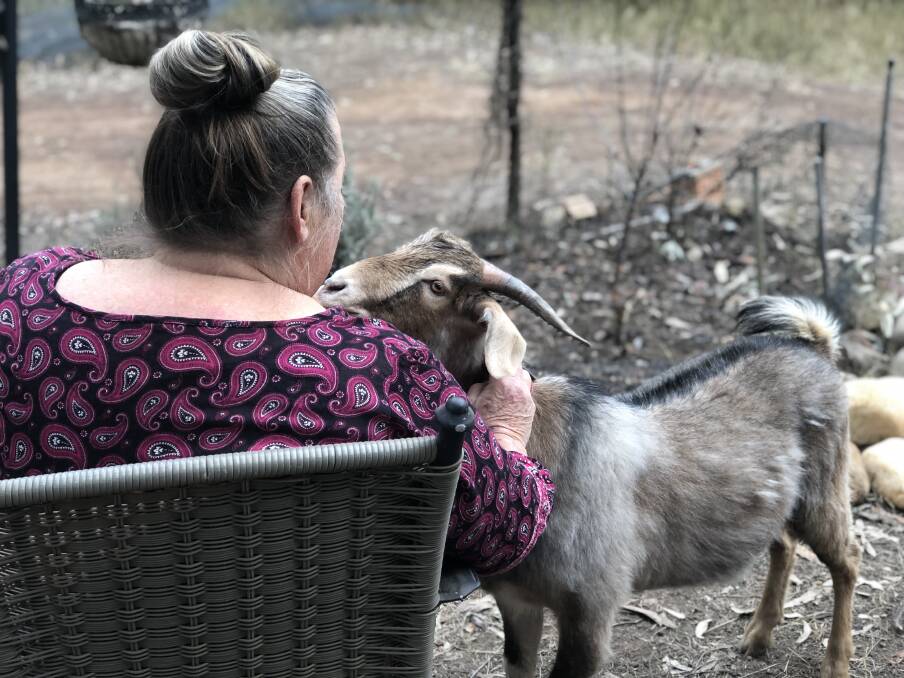 Elysia with Brian is her pet goat, a former "feral, uncontrollable and unwanted animal. Photo: Ainslee Dennis.