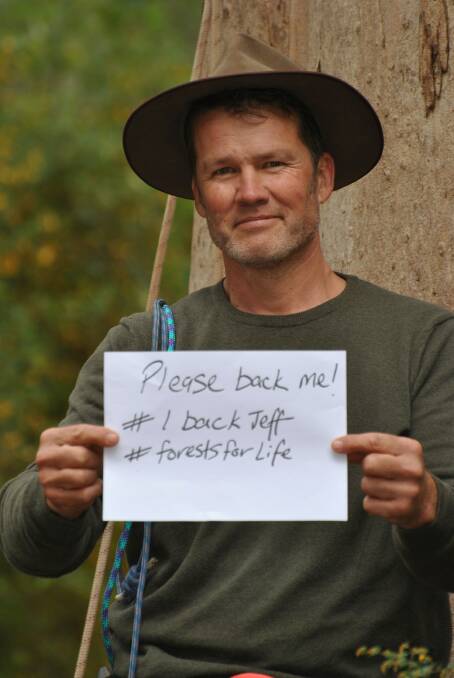 South West farmer Jeff Pow climbed a karri tree in protest of the Forest Product Commission's native forest clearing. Photo is supplied.