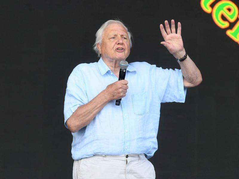 David Attenborough has thanked the Glastonbury festival for banning single-use plastic bottles.