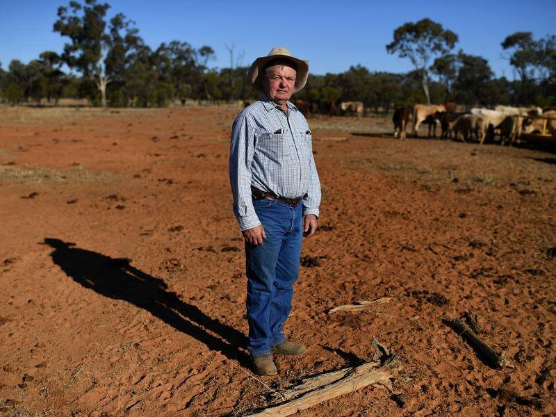 Grazier Peter Cookson is sure that offloading his cattle was the right thing for him and his family.