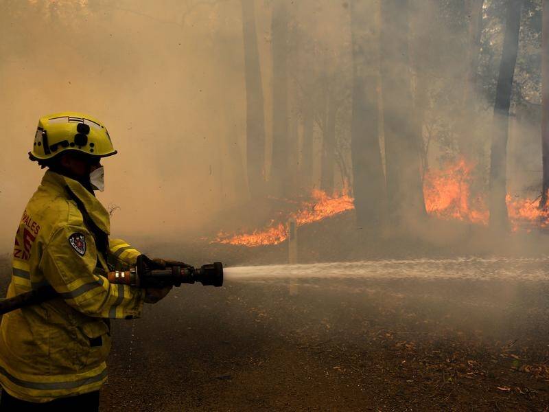 Firefighters in northern NSW are facing a long day with strong winds forecast for midnight.