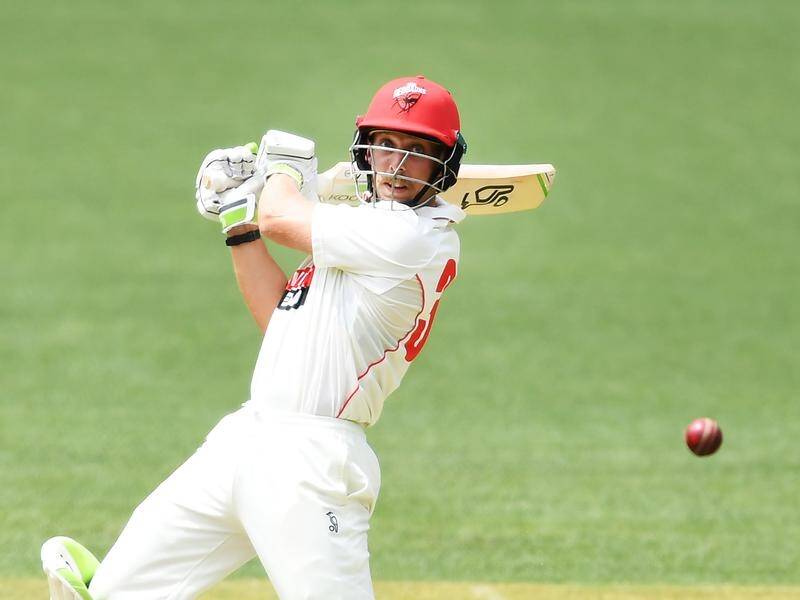 Jake Lehmann has replaced Travis Head as the Redbacks' captain for the domestic one-day competition.