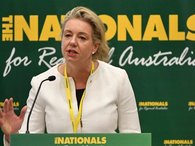 Deputy Nationals leader Bridget McKenzie has confused the reason for celebrating January 26.