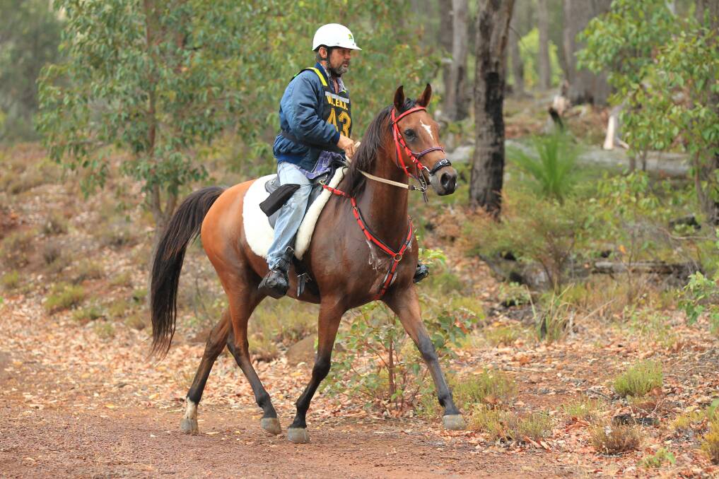 Striding out: Garry Hughes and his horse during the Wilga Endurance Ride.